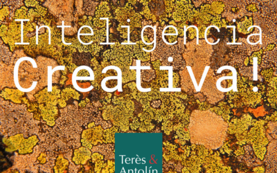 Queremos que este 2025 sea el año de la inteligencia.