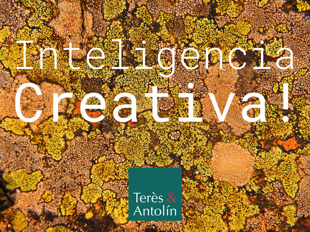 Queremos que este 2025 sea el año de la inteligencia.